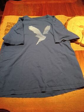 American Eagle Outfitters Mens Navy Tee with White Eagle Graphic
